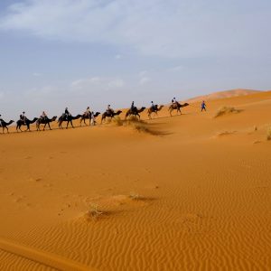 Desert Tour from Casablanca img 2 Morocco Desert Tour 8 Days Morocco Desert Tour