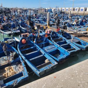 ONE Day Trip From Marrakech To Essaouira