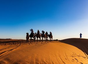 1/2 Day Agafay Desert Sunset Camel Ride With Dinner