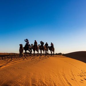 1/2 Day Agafay Desert Sunset Camel Ride With Dinner