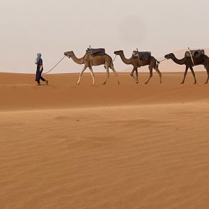 Unforgettable 2 Days Tour From Marrakech To Zagora | Sahara Desert Experience