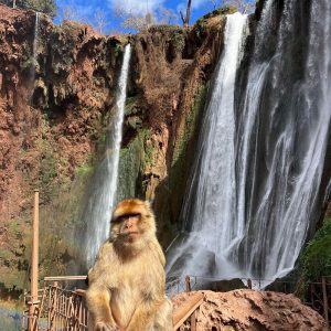 A Day Trip From Marrakech To Ouzoud Waterfalls