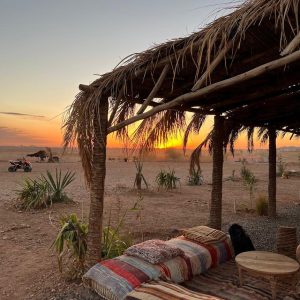 Camel ride Palmeraie Marrakech: Best adventure