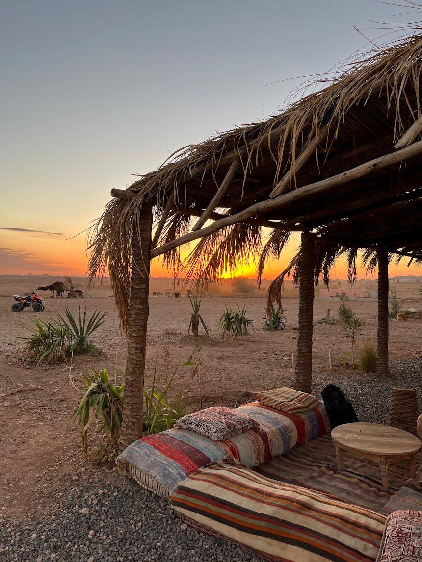 Camel ride Palmeraie Marrakech: Best adventure