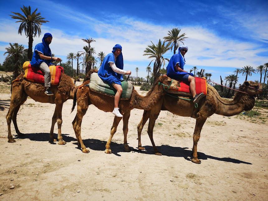 Camel ride Palmeraie Marrakech Best adventure