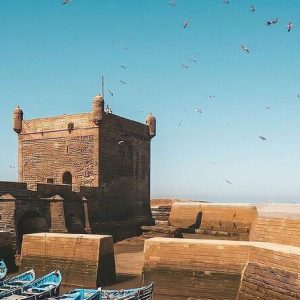 Experience A Day Trip to Essaouira from Marrakech | Morocco Coastal Tour